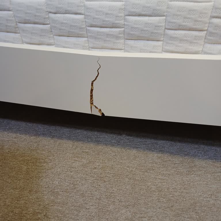 Doğtaş’tan Aldığım Karyola Ve Yatakta Sürekli Sorun, İlgisiz Servis Ve Haksız Ödeme Talebi