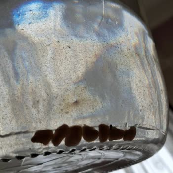 Cam Damacana Suyunda Yabancı Cisim Ve Çamur Birikintisiyle Karşılaştım, Analiz Sonucu Bekliyorum