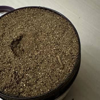 Detoksfit Siparişimde Hijyen Sorunu ve Mağduriyetimin Giderilmesi Talebi