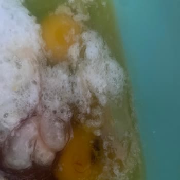 Satın Aldığım Yumurtaların Bozuk Ve Kanlı Çıkması