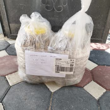 Bozuk Ve Kurtlu İncir Gönderildi, İade Talebime Dönüş Yapılmadı