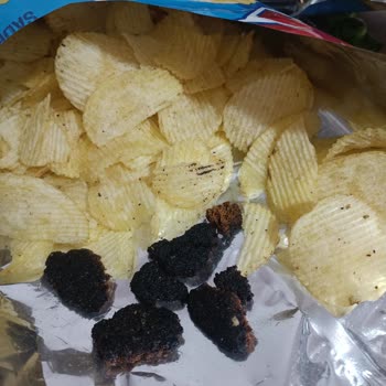 Ruffles Aldığım Cips Paketinden Bozulmuş ve Kötü Kokulu Cisimler Çıktı, Hijyen Endişesi Yaşadım