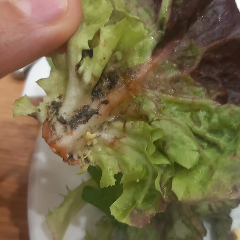 Hijyen Sorunu Ve İlgisiz Çalışanlar Sağlığımı Riske Attı