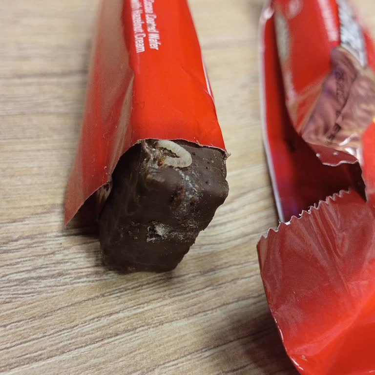 Torku Mini Gofret Paketinde Kurt Çıktı, Hijyen Endişesi Yaşadım