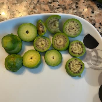 Yanlış Ve Kusurlu Ürün Gönderimi Sonrası İlgisizlik