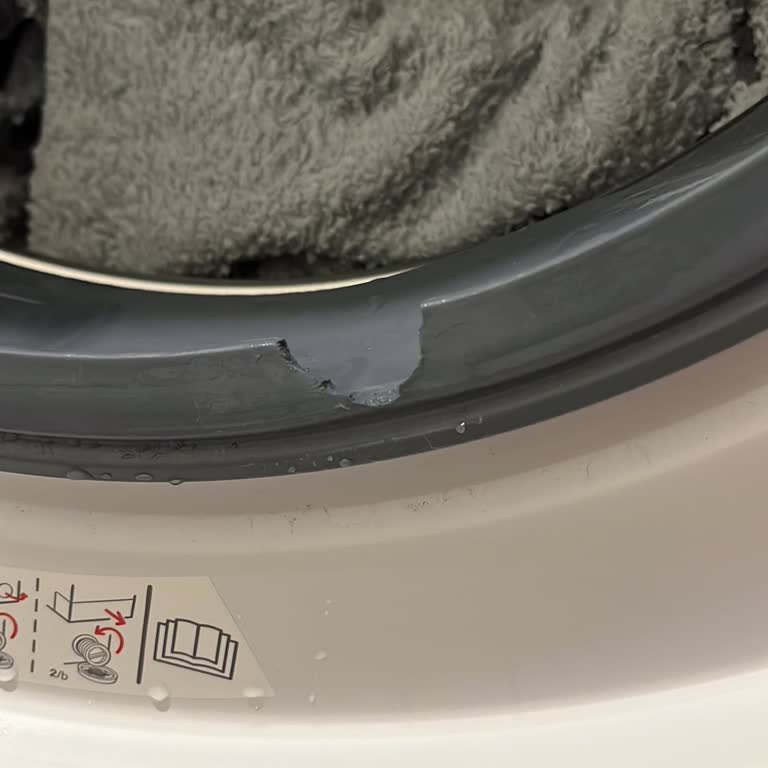 Yeni Alınan Çamaşır Makinesinin Lastiği Yırtıldı, Mağdur Oldum