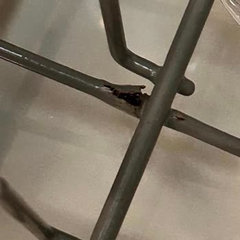 Teka Bulaşık Makinesi Sepetlerinde Kronik Paslanma Ve Çözüm Eksikliği Mağduriyeti