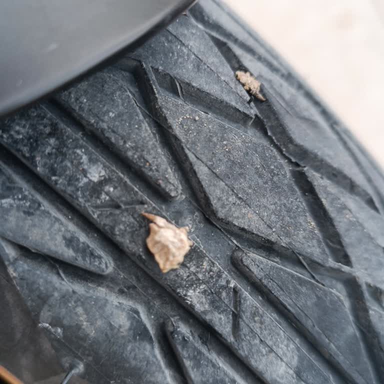 Zırhlı Lastik Farkı Ödedim, Bisikletim Normal Lastikle Teslim Edildi Mağdurum