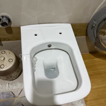 Duru Klozet Kapağı Menteşe Yedek Parçası Bulamıyorum, Çözüm Bekliyorum