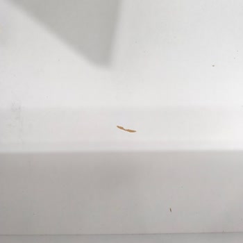 Garaj Home Eksik Ve Hasarlı Şekilde Teslim Edildi