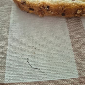 UNO Ekmekte Metal Parça Çıkması Nedeniyle Güven Kaybı Ve Sağlık Endişesi