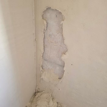 Aldığımız Alçı Ürünlerinde Çürüme Ve İlgisizlik Sorunu