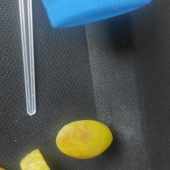 Kars Kız Yurdu'nda Sağlığı Tehdit Eden Yemek Sorunu