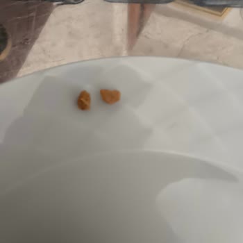 Fındık Ezmesinden Taş Çıktı, Dişim Zarar Gördü