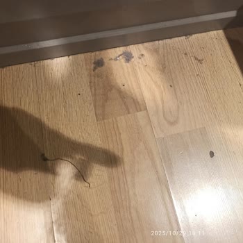 Koton Mağazasında Kirli Deneme Kabinleri Ve Konforsuz Alışveriş Deneyimi