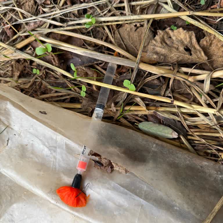 Kayıp Köpekler Ve Kayıt Dışı Toplama Nedeniyle Kartal Belediyesi'nden Açıklama Bekliyorum