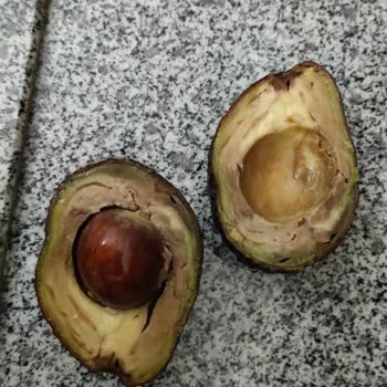 Migros Sanal Market'ten Bozuk Ürün Teslimatı Ve İade Sorunu