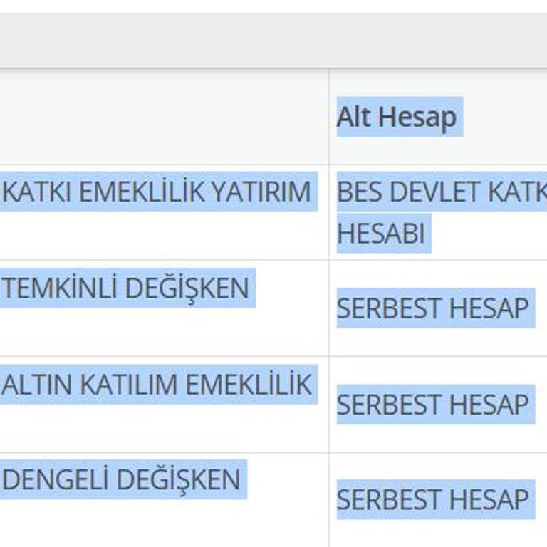 Devlet Katkısı Çekme İşlemi Müşteri Hizmetleriyle Çözülemiyor