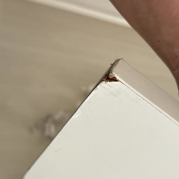 Hasarlı Ve Yetersiz Paketleme Nedeniyle Tekrar Mağdur Oldum