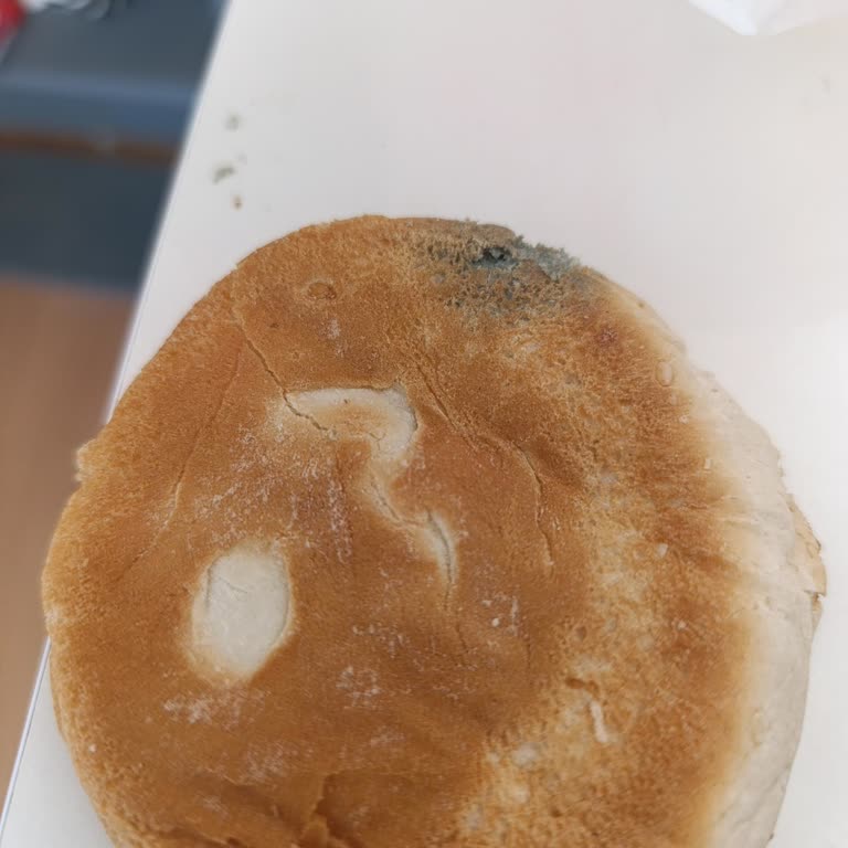 Kalitesiz Ürün Ve İlgisiz Hizmet: Sağlığımız Hiçe Sayılıyor