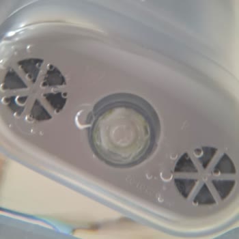 Brita Sürahinin Filtre Bölgesinde Sürekli Yosunlanma Sorunu Yaşıyorum