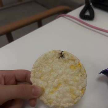 Eti Gong'da Siyahlık Ve Kötü Koku Şoku!