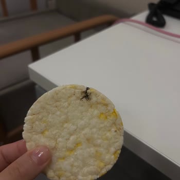 Eti Gong'da Siyahlık Ve Kötü Koku Şoku!