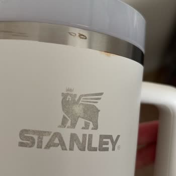 Vestel Dishwasher Repair Caused Rust On Stainless Steel Items