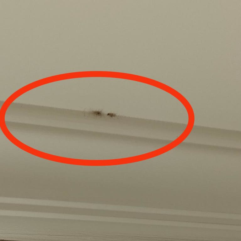 Hijyen Sorunu Nedeniyle Tatil Keyfimiz Bozuldu Ve Ücret İadesi İstiyorum