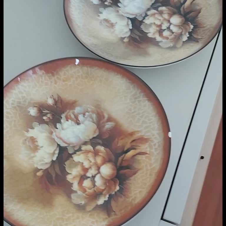 Kırık Tabak Yerine Yanlış Renk Gönderildi, Çözüm Süreci Uzadı