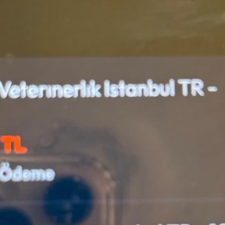 Yetersiz Temizlik Nedeniyle Köpeğimde Uyuz Hastalığı Oluştu, Ücret İadesi Talebim Var