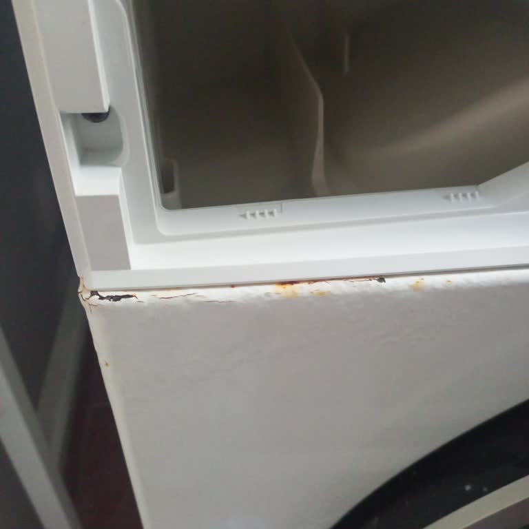 Çamaşır Makinesinde Kısa Sürede Paslanma Ve Yıkama Sorunları Yaşadım