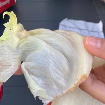 Bozuk Ürün Ve Böcekli Marul Hijyen Sorunu