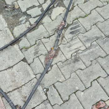 İnternet Kablosu Kesildi Arıza Kaydı Siliniyor Hizmet Alamıyorum