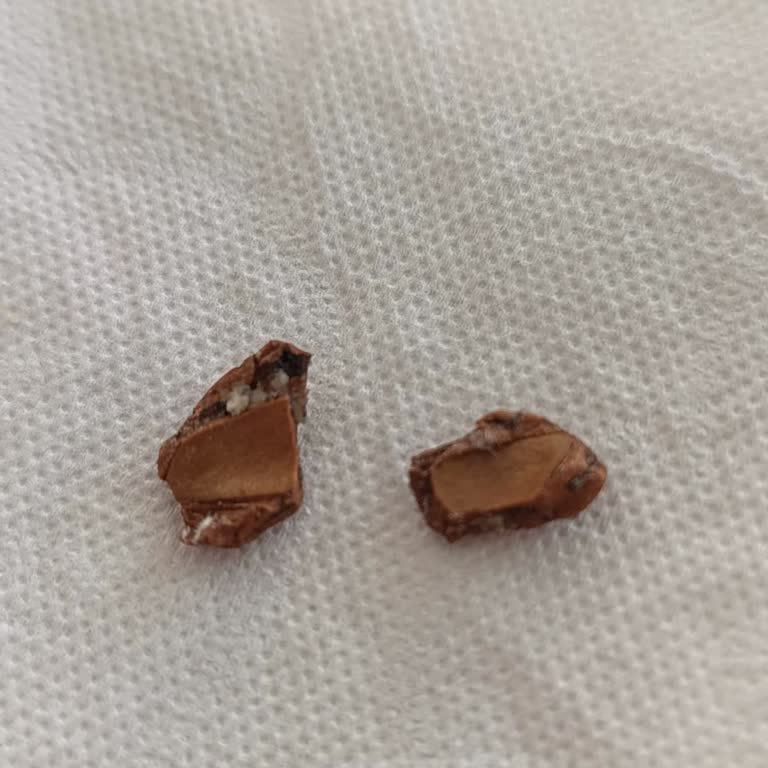 Granio Riders Energy Bar'da Hayati Tehlike Yaratan Sert Parça Şoku