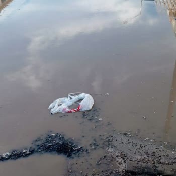 Yağmurda Binamıza Su Doluyor, Kimse Yardım Etmiyor!