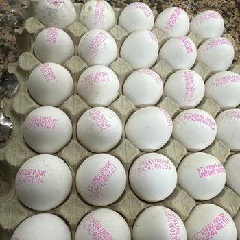 Küflü Ve Kırık Keskinoğlu Yumurtalar Nedeniyle Mağduriyet Ve İade Talebi