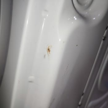 Bosch Çamaşır Makinesinde Garanti Süresinde Başlayan Paslanma Ve Mağduriyet