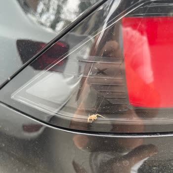 Garanti Devam Ederken Stop Farı Sorunuma Çözüm Bulunmadı