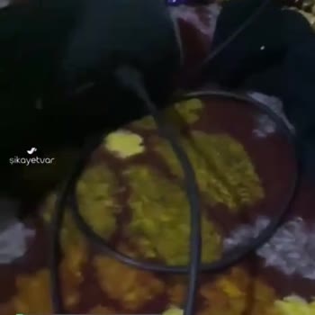 JBL Kulaklık Bozuldu Yardım Lazım