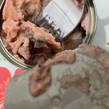 Aldığım Ürünün İçinden Küflü Ve Bozuk Parça Çıktı