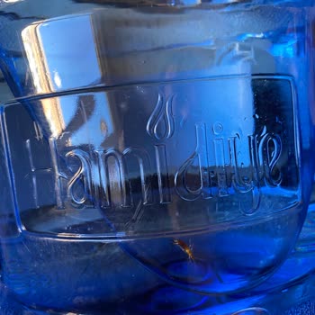 Hamidiye Damacana Sudan Böcek Çıkması Ve Geri Dönüş Yapılmaması