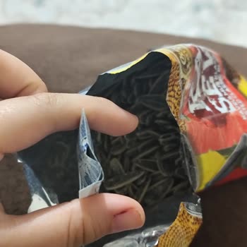 Çekirdek Paketinden Ağzı Açık Oksijen Tutucu Çıktı Sağlık Endişesi Yaşıyorum