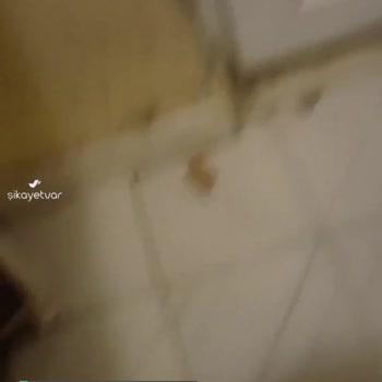 Humtto Factory Store Sandalet Sağ Ayak Rahatsız Edici Boyutta Sıkıyor