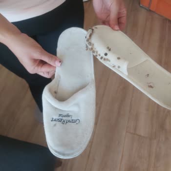 Villa Cosy Temizlik Sorunu