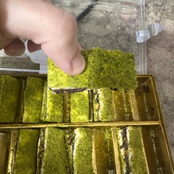 Tuğba Kuruyemiş Son Kullanma Tarihi Geçmemiş Ürünlerde Kurtlanma Şoku Yaşadım!