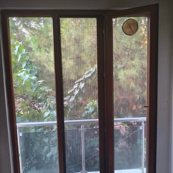 Belediyeden Çam Ağacı İçin Geri Dönüş Alınamıyor