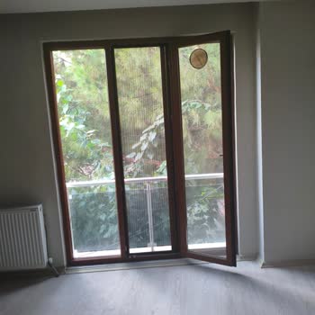 Belediyeden Çam Ağacı İçin Geri Dönüş Alınamıyor