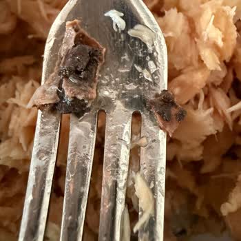 Dardanel Ton Balığının İçinden Çıkan Siyah Madde Şoku