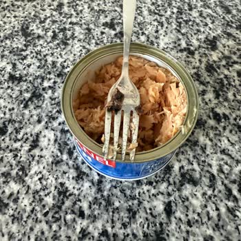 Dardanel Ton Balığının İçinden Çıkan Siyah Madde Şoku